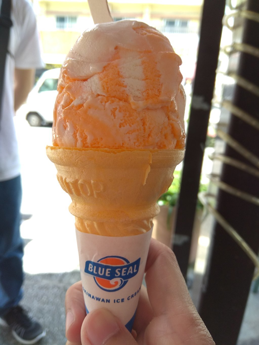 Blue Seal Ice Cream Ryukyuya James S Lee